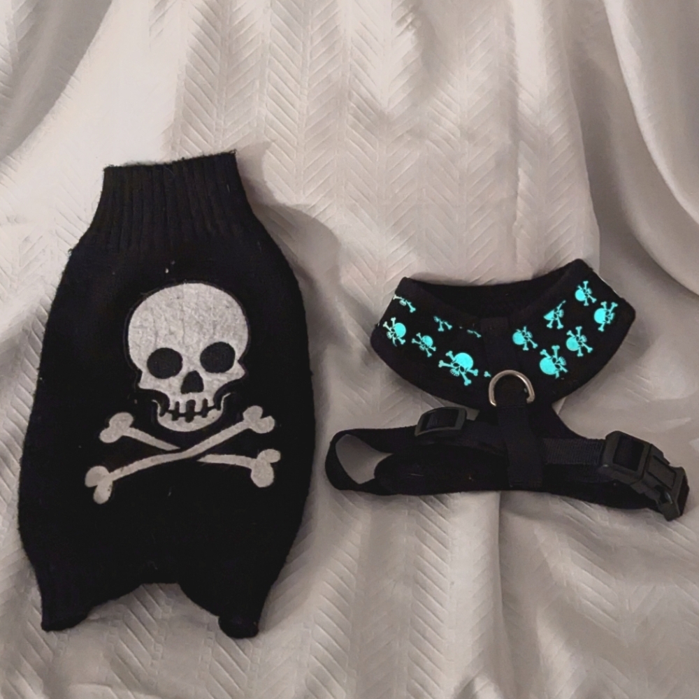 Skull and Crossbones Harness and Sweater Set for your Tiny Dog That Acts BIG!